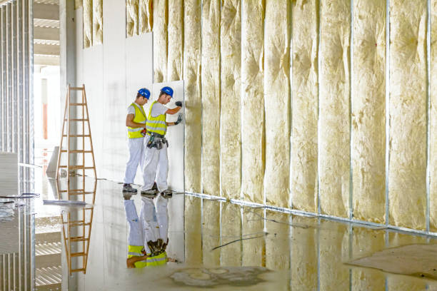 Best Insulation Installation Services in Mahanoy City, PA